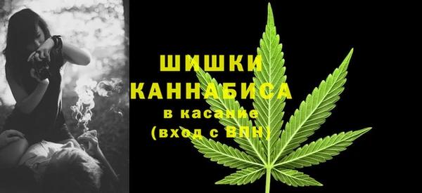 молекула духа Бородино