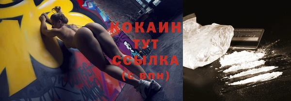 молекула духа Бородино
