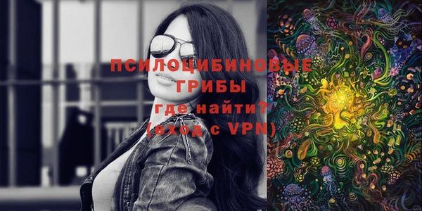 молекула духа Бородино