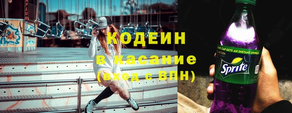 молекула духа Бородино