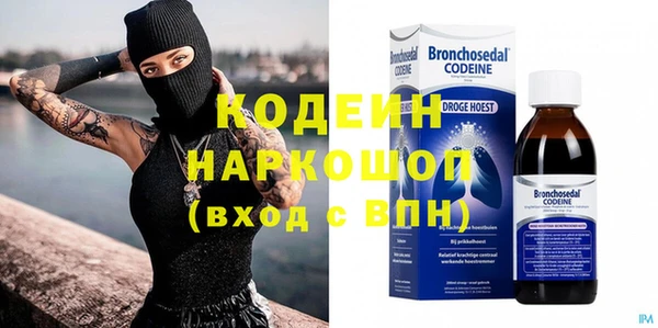 молекула духа Бородино