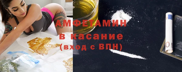 молекула духа Бородино