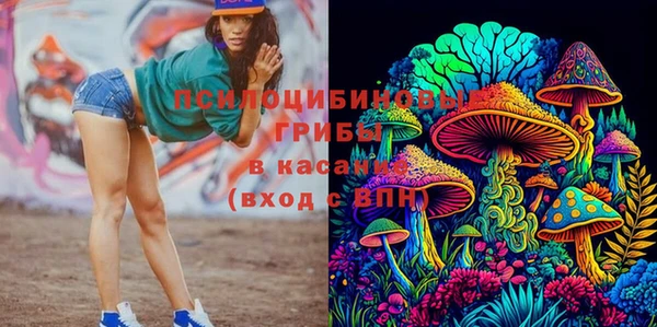 амф Бугульма
